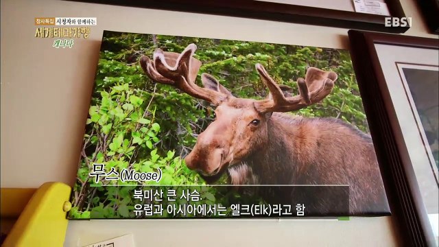 세계테마기행 - '창사특집' 시청자와 함께하는 2부- 악천후를 이겨라! 모녀, 캐나다 가다_#001