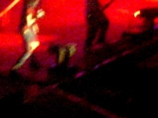 Wir Sterben Niemals Aus