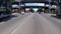 Ce cycliste poursuit un chien échappé en pleine ville... Courageux