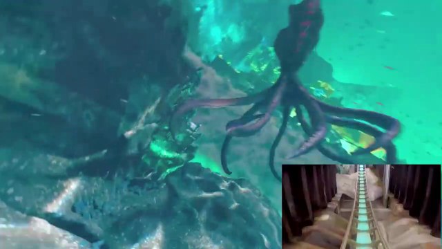 Grand 8 + réalité virtuelle = experience de fou