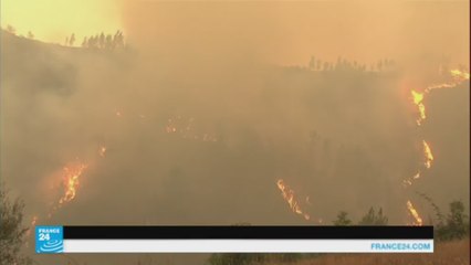 الحرائق مستمرة في البرتغال