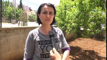17 Kedi Parçalanmış Halde Bulundu