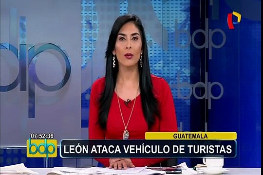 Guatemala: león asusta a visitantes de zoológico al atacar su vehículo