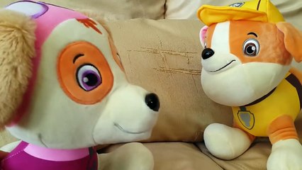 Patrulla pata en patrulla cachorro en todas las series de Rusia interpreta a la doctora inyecciones de acción Super pl