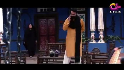 Pinjra Episode 22 on APlus entertainment on  21 June 2017
