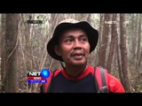 Proses Evakuasi Orang Utan Akibat Ancaman Kebakaran Hutan di Palangkaraya - NET5