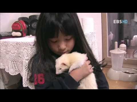 동물일기 - Animal diary_39화_소중한 내 친구 동물일기_채빈이네_#002