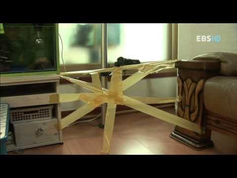 동물일기 - Animal diary_67화 우리집에 올래? 지원, 욱진, 욱빈이네_#002