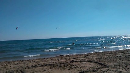 Mon Cerf-Volant la Mouette