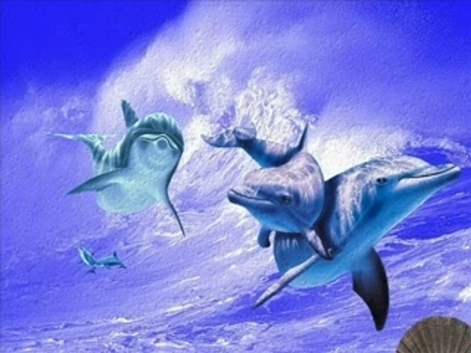 LES DAUPHINS