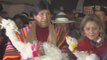 Evo Morales participa en celebraciones del año nuevo andino 5525 en Bolivia
