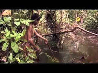 EBS 다큐프라임 - EBS Docuprime_아시아의 열대 1부 나무인간, 오랑뽀혼_#003