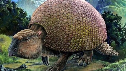 5 Mysterious Fossil Discoveries Science Can’t Explain
