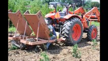 ..--0H  OH  ---   We Grow Profitable Trees   The Green Giant Arborvitae