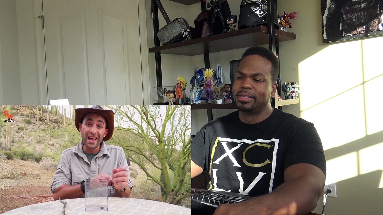 WILL IT BITE?! - Black Widow Challenge REACTION!!!