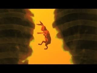 Tenderlandet-Sequence 3-H.264 LAN