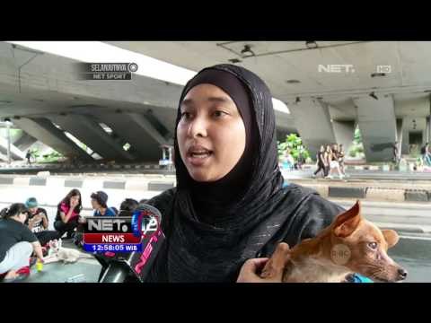 Aksi Lucu Puluhan Anjing Hiasi Hari Bebas Kendaraan Ibukota - NET12