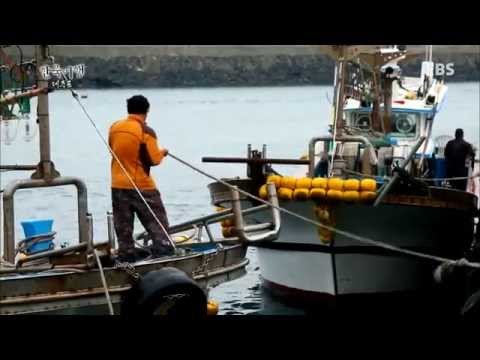 한국기행 - Korea travel_제주도 5부 민어의 바다_#001