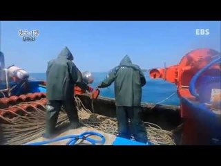 한국기행 - Korea travel_추자군도 1부 황금어장, 행복을 낚다_#001