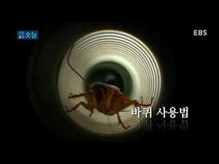 다큐 오늘 - 바퀴사용법