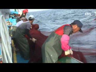 극한직업 - Extreme JOB_자리돔잡이_#001