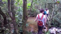 Costa Rica - Naturerlebnis mit travel-to-nature-4-qNF