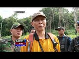 5 Hektar Ladang Ganja Dimusnahkan di Aceh Besar - NET5