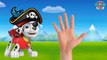 Baby Learning Songs! Paw Patrol Transforms Into Pirates, Finger Family Nursery Rhymes Songs For Kid