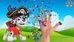 Baby Learning Songs! Paw Patrol Transforms Into Pirates,