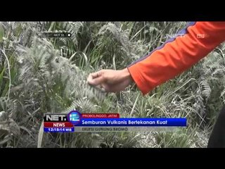 Erupsi Bromo, Semburan Abu Capai Radius 15 Kilometer - NET12
