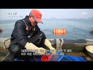 한국기행 - Korea travel_우리는 섬으로 간다 신안 1부 꿈결처럼 날아올라 비금도_#001