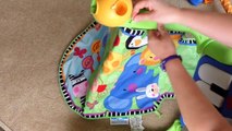 Fisher Price Kick & Play Piano Gym Disassembly Limitations-X3dqy8Cngo4