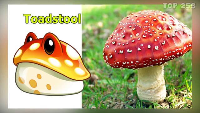 Plants vs Zombies Characters in Real Life 2017 | Top 25s | All Characters