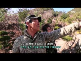 한국기행 - Korea travel_발품팔아 오지기행 4부 그림같은 집을 짓고_#001