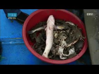 다큐 오늘 - 다큐 오늘 - 꼬막섬 장도_#001