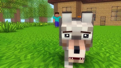 Wolf Life 1 3 Minecraft animation