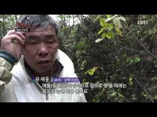 극한직업 - Extreme JOB_말벌 사냥꾼_#002