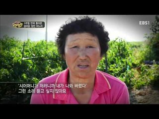 다문화 고부열전 - 3개월 만에 돌아온 섬마을 염전 며느리_#001