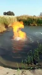 اللہ تعالیٰ کی قدرت دیکھیں
