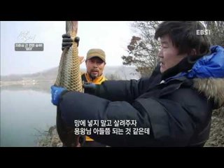 성난 물고기 - 자존심을 건 한판 승부! 잉어_#002