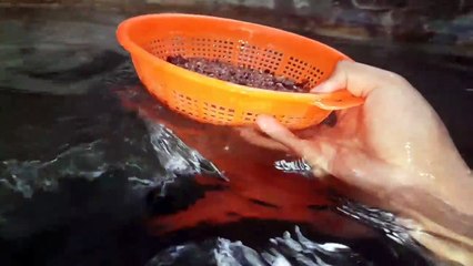 Como Buscar DIAMANTES en la Vida Real