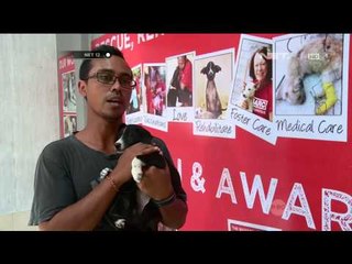 Inspirational People Pelindung Anjing Liar di Bali - NET12