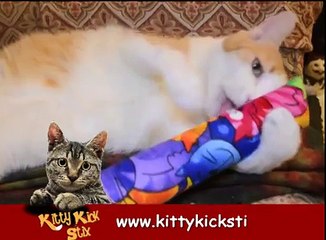 Kitty Kick Stix - Cats go CRAZY over this new 15 Cat Toy