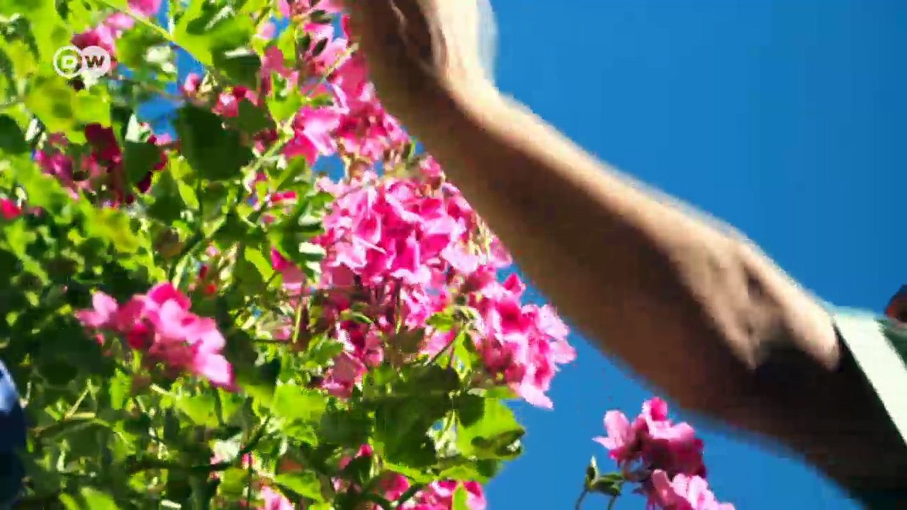 Die Patios von Cordoba | Euromaxx