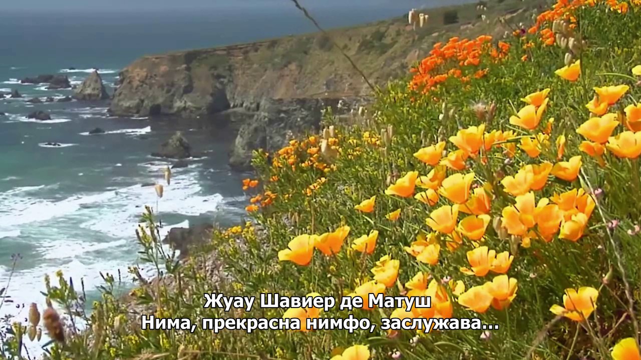 Жуау Шавиер де Матуш -   Нима, прекрасна нимфо, заслужава .