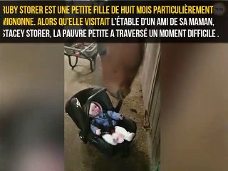 Un cheval et un bébé meilleurs potes... Adorable