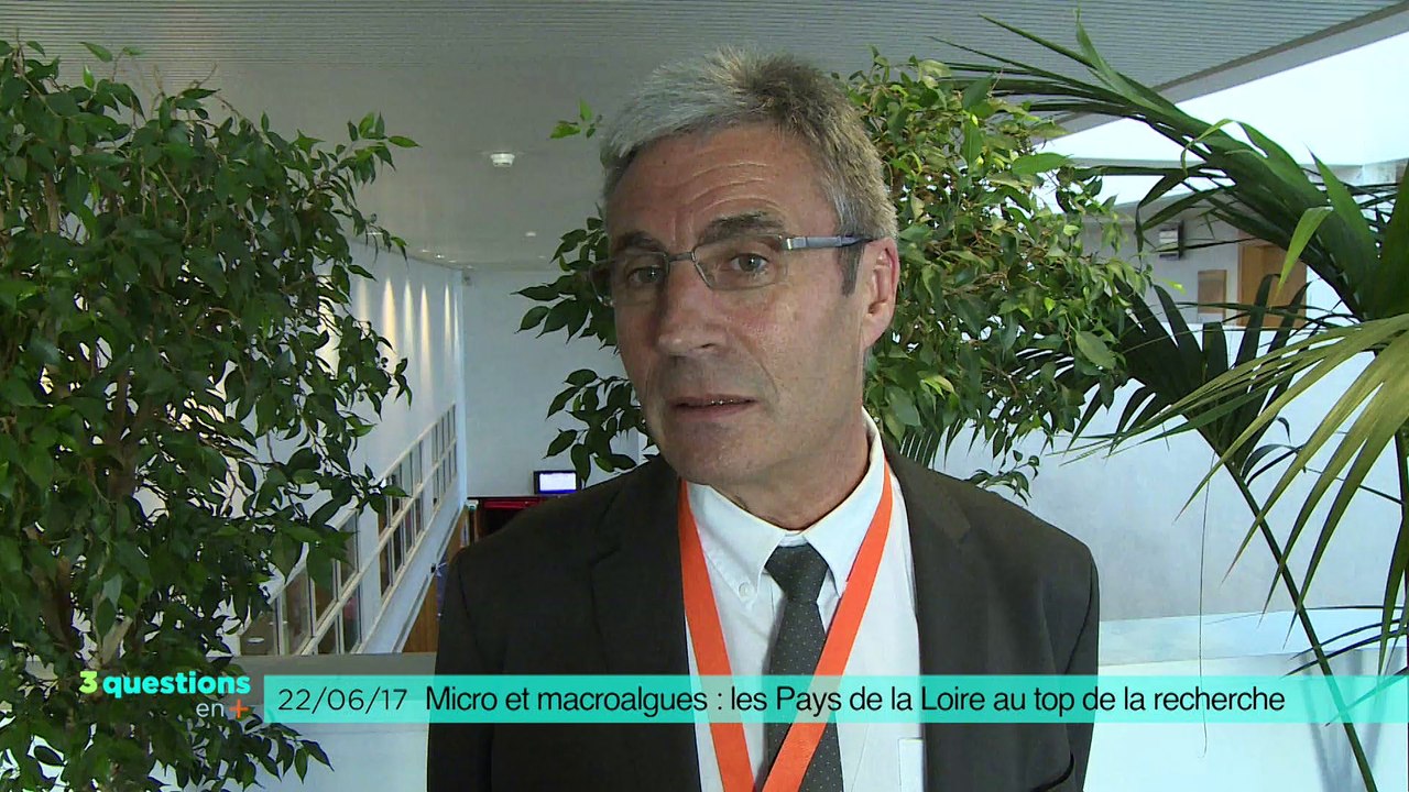 3 questions en plus - Les algues : la ressource du futur ?