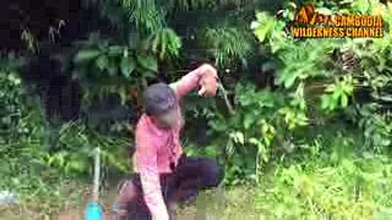 Amazing Quick Animal Trap Using PVC Pipe