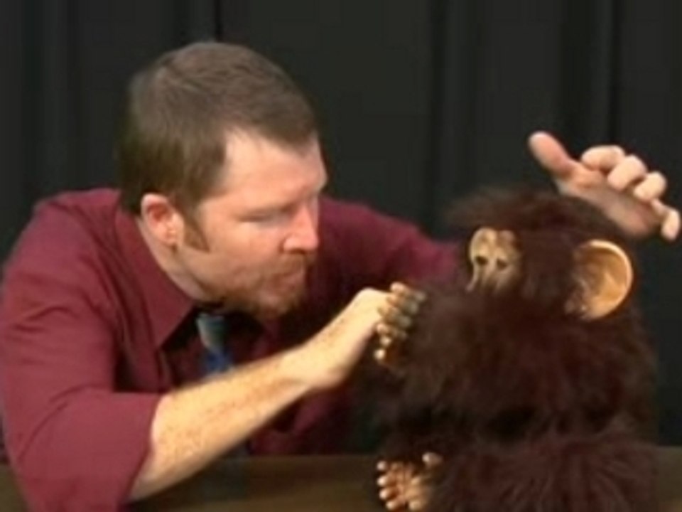 DadLabs Ep. 58 Dado "Monkey Shines"