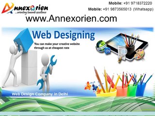 Specialized Web Development Services in Delhi